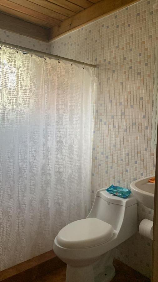 Bed & Breakfast Manaya